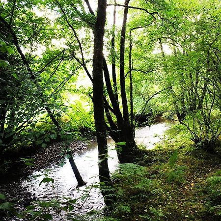 Aldridge Mill Hotel Oakford Bagian luar foto